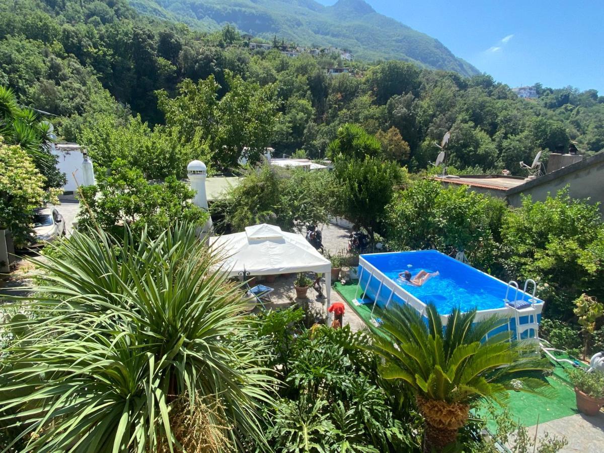 B&B Lodge Dell'Ospite Ischia Casamicciola Terme Ngoại thất bức ảnh